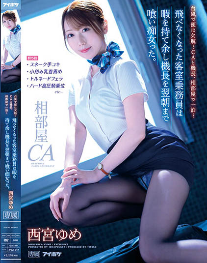 Yume Nishimiya - CA And The Captain Stayed Overnight In A Shared